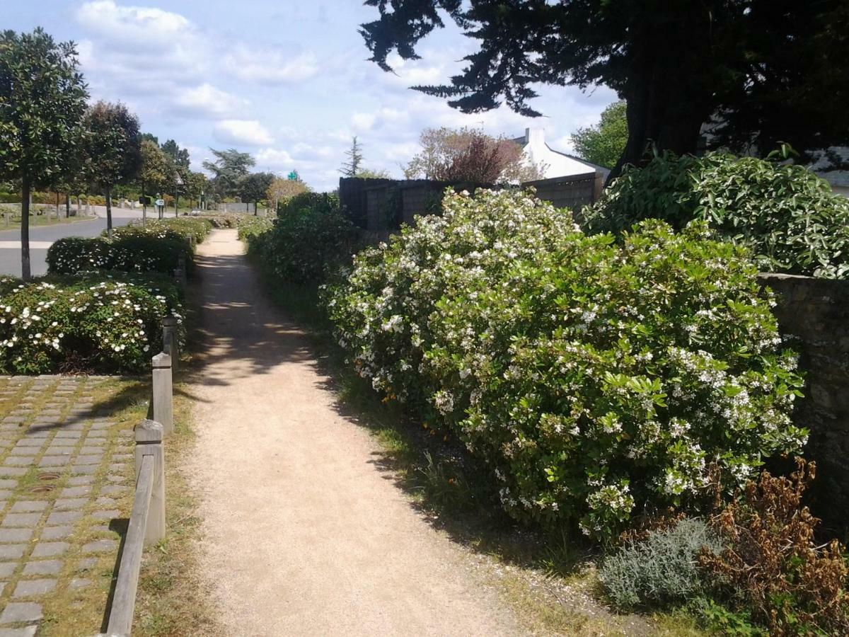 圣吉勒达德吕伊Aupres De Mon Arbre住宿加早餐旅馆 外观 照片